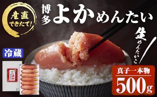 <無冷凍>辛子明太子 博多よかめんたい 生 1本もの(500g) 贈答用 めんたいこ 真子 冷蔵 海鮮 お土産 <離島配送不可>【ksg0407】【富八商店】福岡県春日市24000魚介・海産物明太子・その他魚