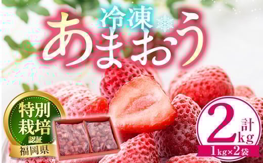 冷凍あまおう(計2kg・1kg×2袋) いちご イチゴ 苺 あまおう 冷凍いちご 冷凍イチゴ 国産 福岡県 特別栽培 果物 フルーツ アイス シャーベット ジャム スムージー 冷凍フルーツ <離島配送不可