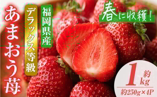 <先行予約受付中!2026年2月上旬〜2026年3月末に順次発送予定>あまおうDX(デラックス)・春(計約1kg・約250g×4P)いちご 苺 フルーツ 果物 くだもの 福岡限定 家庭用 冷蔵 <離島配送不可>【ksg0