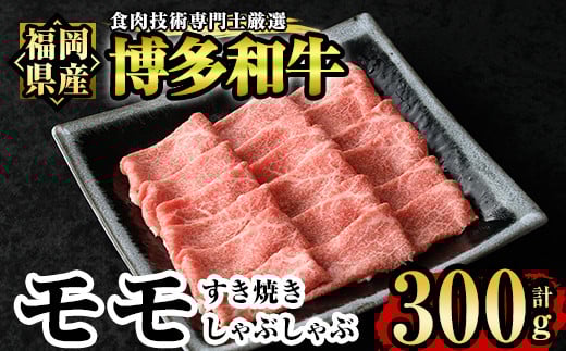 aĂEԂԗp(300g) Y Y ~ Ⓚ VuVu XLL  zsyksg1208zy̒}Ozts15000