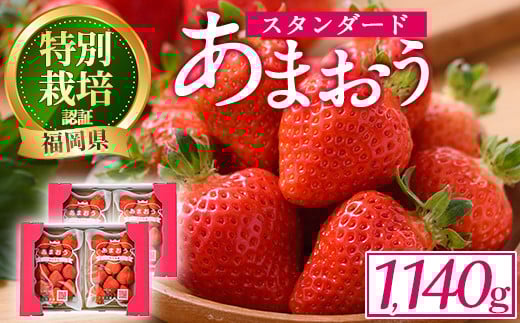 <予約受付中!2025年12月中旬より順次発送予定>うるう農園のスタンダードあまおう(計1.14kg・285g×4P) ふるさと納税 春日市 特産品 苺 いちご イチゴ 果物 フルーツ 国産 福岡県 ヨーグルト