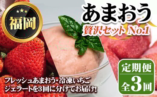 《先行予約受付中・数量限定》<定期便・全3回(3月・5月・7月)>2026年3月からお届け!あまおう贅沢セット No.1(あまおう:計約500g・冷凍いちご:1.5kg ジェラート2種:計1L) 苺 定期便 <離島