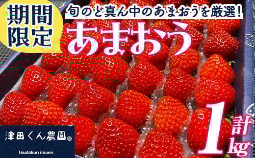 <先行予約受付中!2026年1月上旬から2026年2月末にかけて順次発送予定>福岡県産いちご 津田くん農園のあまおう(計約1kg) 苺 いちご イチゴ フルーツ 果物 くだもの 数量限定 期間限定<離島