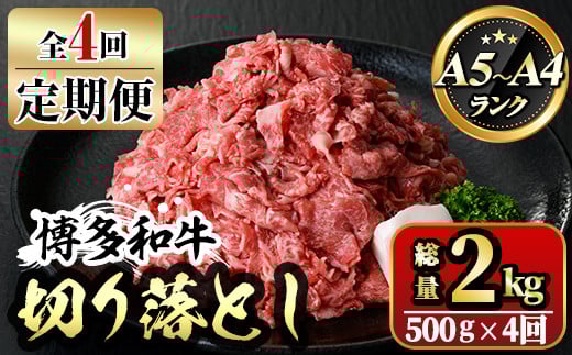 【ksg1369】<定期便・全4回(連続)>博多和牛A5〜A4 切り落とし(総量2kg) 牛肉 黒毛和牛 国産 霜降り化粧箱 贈答 ギフト プレゼント <離島配送不可>【マル五】福岡県春日市56000肉牛肉