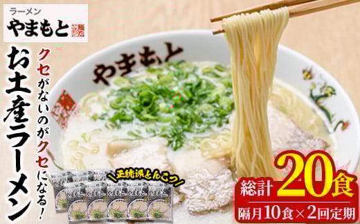 <定期便・全2回(隔月)>お土産ラーメン 豚骨ラーメン(総量20食・10食×2回)とんこつ 豚骨 福岡 筑前ラーメン 常温 常温保存 定期便【ksg1441】【ラーメンやまもと春日本店】福岡県春日市34000
