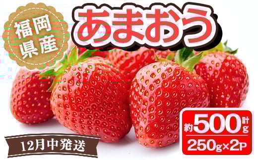 s\tI2025N12菇\聄Y ܂(v500gE250g×2P)  t[c ʕ  ① zsyksg1502zyGtr[lbgzts12000