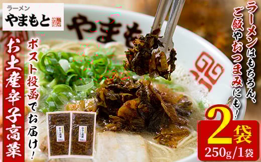 <ポスト投函でお届け>お土産辛子高菜(計2袋)漬物 漬け物 高菜 辛子高菜 ご飯のお供 おかず おつまみ ラーメン 福岡 小分け 常温 常温保存【ksg1545】【ラーメンやまもと春日本店】福岡県春