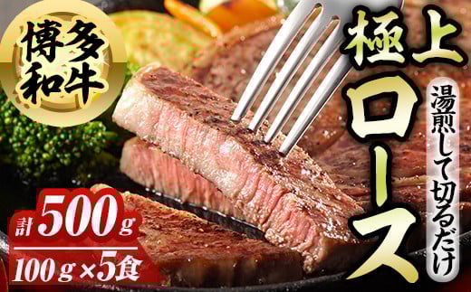 博多和牛極上ロース(計500g) 博多和牛 和牛 牛 牛肉 国産 ロース サーロイン ステーキ 福岡県 冷凍 簡単調理 簡単 時短 <離島配送不可>【ksg1582】【OBU Company】福岡県春日市30000肉牛肉