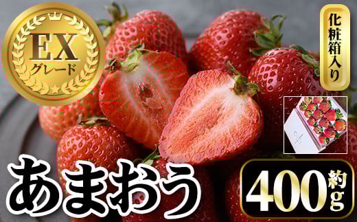 <先行予約受付中・数量限定>2026年2月からお届け!プレミアムあまおうEX 化粧箱入り(約400g) 苺 いちご あまおう イチゴ フルーツ 果物 くだもの 手作り スイーツ ギフト 贈答 数量限定 冷蔵