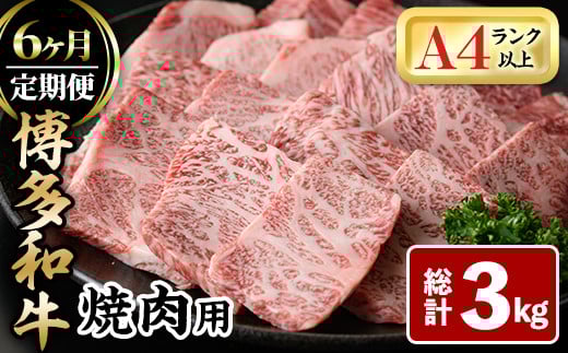 <全6回定期(毎月)>博多和牛焼肉用(総計3kg)牛肉 黒毛和牛 国産 BBQ 化粧箱 贈答 ギフト プレゼント 定期便<離島配送不可>【ksg1720】【MEATPLUS】福岡県春日市66000肉牛肉
