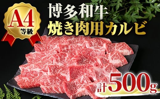 A4ランク博多和牛カルビ焼肉用(計500g) 牛肉 国産 福岡県 黒毛和牛 和牛 冷凍 カルビ いとしまミートデリ工房<離島配送不可>【ksg1708】【徳永商店】福岡県春日市19000肉牛肉