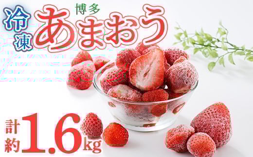 冷凍 博多あまおう (計約1.6kg) いちご イチゴ 苺 あまおう 冷凍いちご 冷凍イチゴ 国産 福岡県 果物 フルーツ アイス シャーベット ジャム スムージー 冷凍フルーツ <離島配送不可>【ksg1744
