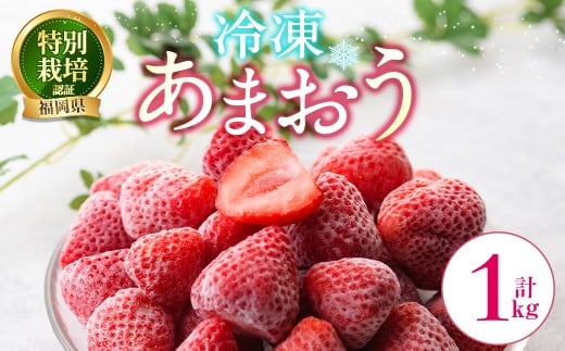 Ⓚ܂ (v1kg)  C`S  ܂ Ⓚ ⓀC`S Y  ʍ͔| ʕ t[c ACX W Ⓚt[c zsyksg1785zy邤_z