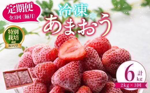 S3(u)Ⓚ܂ (v6kg:2kg×3)  C`S  ܂ Ⓚ ⓀC`S Y   ʍ͔| ʕ t[c ACX W Ⓚt[c zs