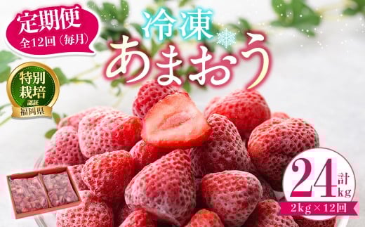 S12()Ⓚ܂iv24kg:2kg×12)  C`S  ܂ Ⓚ ⓀC`S Y   ʍ͔| ʕ t[c ACX W Ⓚt[c z