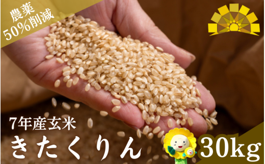 令和7年産 玄米 きたくりん 新米 30kg / ごはん こめ 米 お米 北海道 北海道米 【kja400-kita-g30-R7】北海道北竜町79000米・パン玄米・雑穀米・もち米・餅