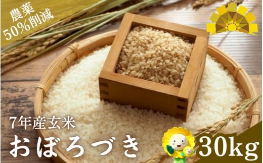 令和7年産 玄米 おぼろづき 新米 / 白米 玄米 ごはん こめ 北海道米 ※10月〜順次発送 【kja400-obo-g30-R7】北海道北竜町80000米・パン玄米・雑穀米・もち米・餅