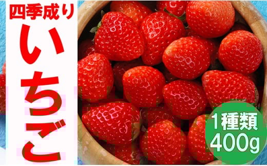 lG肢 i킨܂ 1 400gq Ȃ MBS8-9 Ă̋P Ă̂  ry C`S  Xgx[ t[c ʕ  Oc AX^[t@[ z6`12