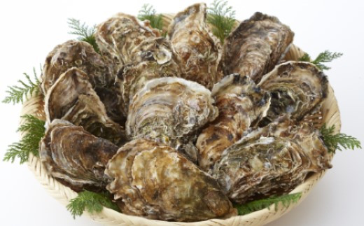 牡蠣 産地直送! 加熱用 【訳あり】不揃いの殻付き牡蠣 3kg( 冷凍 ) 【 訳あり 国産 三陸産 天然 牡蠣 かき  殻付き 人気 グラタン 海鮮 お刺身 魚介 魚介類 BBQ バーベキュー フライ 】 岩手