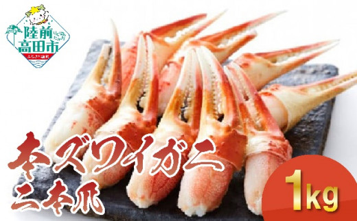 y {YCKj z{1kgi200g×5pbNj y 킢 ނg 킢I YCI 킢 YC I Jj Jj I Jjܓ YCKj {C Ⓚ z RT1275茧Ocs45000