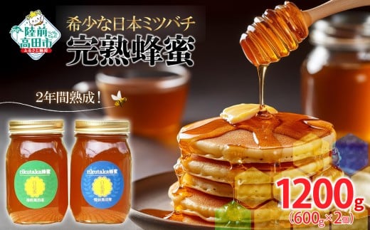 【感謝を込めて価格改定】 2年間熟成! 希少な日本ミツバチ完熟蜂蜜 600g×2個 セット 【 数量限定 はちみつ ハチミツ 岩手県 陸前高田市 】 RT1534岩手県陸前高田市44000鍋セット・総菜・加工