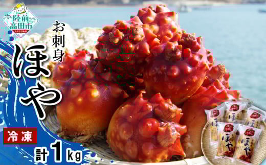 広田湾漁協からお届け!冷凍ほや「お刺身用」 200g×5パック 【 ほや ホヤ 海鞘 珍味 おつまみ 人気 海産物 海鮮 】 RT1697岩手県陸前高田市13000魚介・海産物貝類
