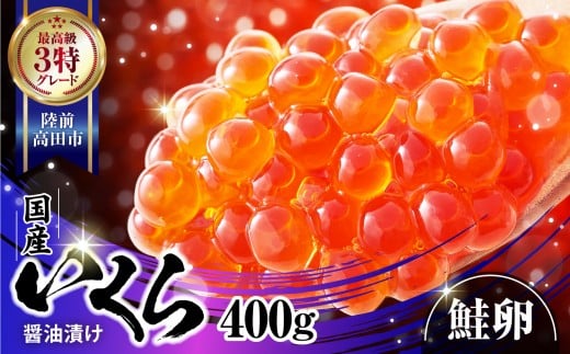 ■寄附額変更 いくら醤油漬け 小分け 400g 国産 鮭卵  ( 小分け2パック ) ESSEふるさとグランプリ 金賞受賞!【 いくら  手巻き寿司 醤油漬け いくら丼 鮭いくら イクラ 】RT2009岩手県陸前高田市