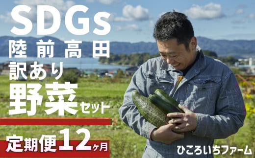 【定期便12ヶ月】農家のおすそわけ(訳アリ)野菜便【 農家 野菜詰め合わせ 野菜 詰め合わせ セット 訳あり 】 RT1892岩手県陸前高田市60000野菜・きのこその他 野菜