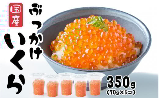 ■寄附額変更 \TVで紹介されました/ いくら 醤油漬け 350g (70g×5個) 鮭卵 小分け カップタイプ 最上級グレード 3特 【 お試し ikura 鮭 鮭卵 醤油 海鮮 魚卵 醤油漬け イクラの醤油漬け 国産 冷