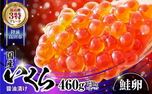 _͂Iׂ^ Y  ݖЂ 460g ( 230g ×2) (  ) Ⓚ ŏ㋉O[h 3 y  芪i   蕨Mtg ݖЂ VR  ݖЂ Ⓚ