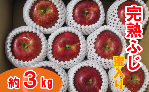 先行予約【清水農園】完熟りんご 「ふじ」 約3kg ★蜜入り★ 【 リンゴ 林檎 果物 フルーツ 期間限定 数量限定 】 2025年12月頃から発送予定 RT2226岩手県陸前高田市12000果物・フルーツりんご・