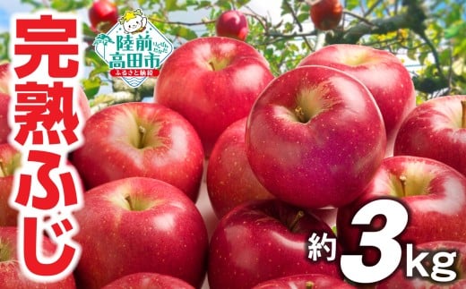 先行予約【清水農園】 完熟りんご 「ふじ」 約3kg  【 リンゴ 林檎 果物 フルーツ 期間限定 】  2025年11月下旬頃から発送予定 RT2263岩手県陸前高田市11000果物・フルーツりんご・梨