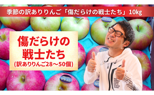 【訳あり品】傷だらけの戦士たち 季節のりんご MIX 10kg 2種類以上お届け 【 リンゴ 品種 おまかせ 旬 お届け 岩手 陸前高田 】 RT2062岩手県陸前高田市18000果物・フルーツりんご・梨