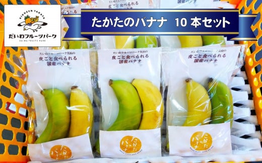 【東北育ちの南国フルーツ】 たかたのバナナ10本セット 【 バナナ 品種おまかせ フルーツ 果物 贈答品 陸前高田市産 だいわフルーツパーク 】 RT2272岩手県陸前高田市25000果物・フルーツその