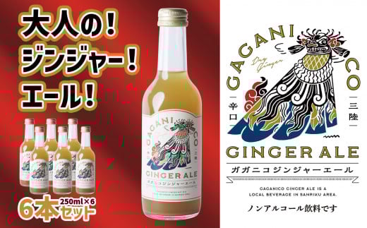 先行予約 【 炭酸飲料 】 ガガニコ ジンジャーエール 6本セット ( 250ml × 6本 ) 【 飲み物 ノンアルコール 北限のゆず しょうが プレゼント 】 2025年12月上旬から発送予定 RT1955岩手県陸前高田