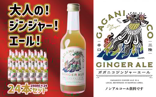 先行予約 【 炭酸飲料 】 ガガニコ ジンジャーエール 24本セット ( 250ml × 24本 )【 飲み物 ノンアルコール 北限のゆず しょうが プレゼント 】 2025年12月上旬から発送予定 RT1957岩手県陸前高田