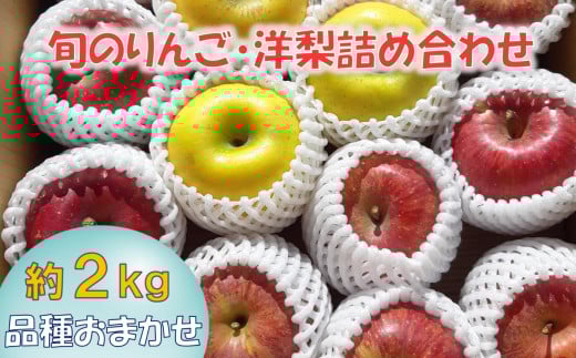 先行予約 【清水農園】 旬のりんご(洋梨含む) 大玉 約2kg 品種おまかせ 1種〜2種 【 リンゴ 林檎 洋ナシ 果物 フルーツ 期間限定 】 2025年9月頃から発送予定 RT2826岩手県陸前高田市8500果物・フ