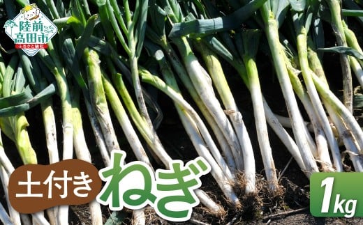 ys\z ˂(yt)  1kg y ˂ lM ˂ [˂ Yn VN   茧 Ocs z 2025N11{甭\ RT2727茧Ocs5000؁Êʂ˂