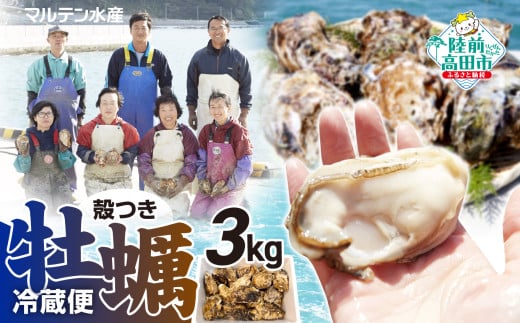 【令和8年5月前半発送】【訳あり・数量限定】 生食用 殻付き牡蠣 約3kg 【 天然 牡蠣 かき カキ 殻付き 生食 真牡蠣 冷蔵 国産 三陸産 広田湾 マルテン水産 】 RT2794岩手県陸前高田市16000魚介