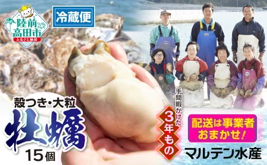 先行予約 【配送日事業者お任せ】牡蠣 生食用【 期間限定 】殻付き牡蠣15個「3年育成」【 天然 牡蠣 かき カキ 殻付き  生食 大粒  国産 真牡蠣 三陸産 広田湾  】 2026年1月頃から順次発送予