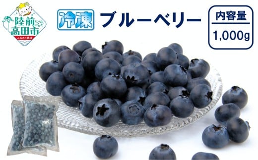 【数量限定】 冷凍ブルーベリー 500g×2袋 (計1,000g) 品種ミックス だいわフルーツパーク 【 産地直送 果物 フルーツ ブルーベリー 食べ比べ ヨーグルト ジャム 】 RT3012岩手県陸前高田市12000果