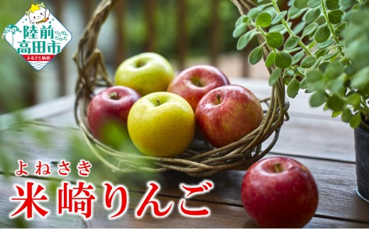 《旬のりんごをお届け!》 米崎りんご 約2.5kg 品種おまかせ 【 数量限定 りんご リンゴ 林檎 産地直送 新鮮 岩手 陸前高田 マルキヨファーム 】 RT3035岩手県陸前高田市10000果物・フルーツり