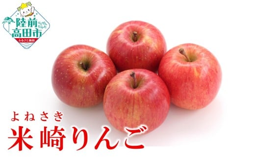 先行予約 《旬のりんごをお届け!》 米崎りんご 品種:ふじ 約2.5kg 【 数量限定 りんご リンゴ 林檎 産地直送 新鮮 岩手 陸前高田 マルキヨファーム 】 RT3036岩手県陸前高田市11000果物・フル