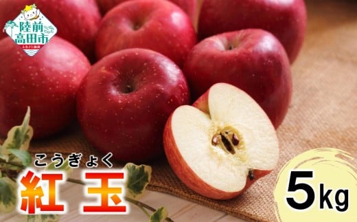 ₨َqɂ߁I  5kg yiFgʁz ʌ S ь ʕ t[c VN ƒp RT3056茧Ocs12000ʕEt[c񂲁E