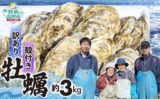 【11月後半発送】 訳あり 殻付き牡蠣 約3kg 生食可 【 牡蠣 かき カキ 殻付き 生食 数量限定 国産 三陸産 広田湾 小友 大和水産 】RT2626岩手県陸前高田市14000鍋セット・総菜・加工食品カレー・