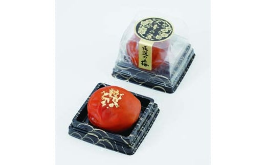 ɑI̔~ V̕ 110 mKn11na̎Rxc10000ZbgE؁EHHiЕE~EL`