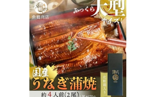 大型サイズふっくら柔らか 国産うなぎ蒲焼き 2尾和歌山県上富田町20000魚介・海産物うなぎ