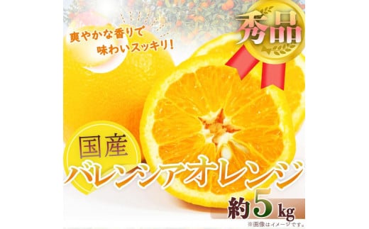 Gi 󏭂ȍYoVAIW 5kgm2026N6{`2026N7{ɏnmUT76na̎Rxc16000ʕEt[c݂Ek