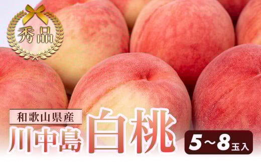 a̎RY 쒆 5`8ʓ Gi s\m2026N7{ȍ~nmMG7na̎Rxc14000ʕEt[cE