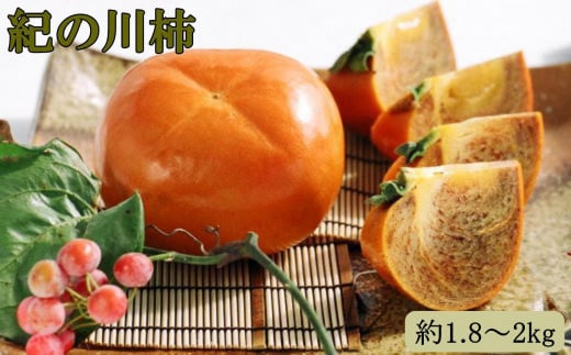 【希少】紀の川柿約1.8〜2kg(種無し)秀選品★2025年10月中旬頃より順次発送【TM191】和歌山県上富田町13000果物・フルーツその他 果物・フルーツ